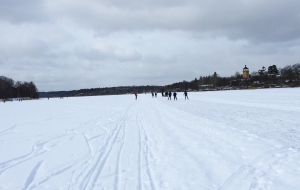 Winter-skating