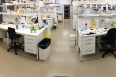 Our Lab