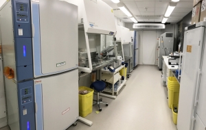 BSL-2-cell-culture-room